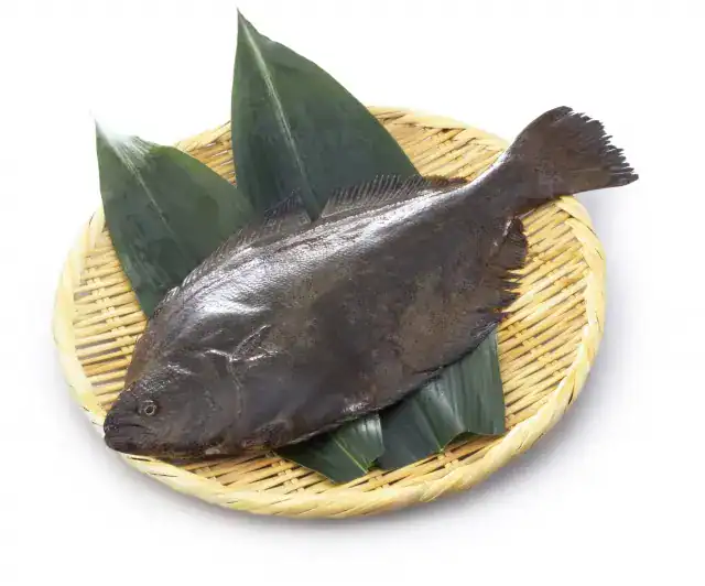 Flounder